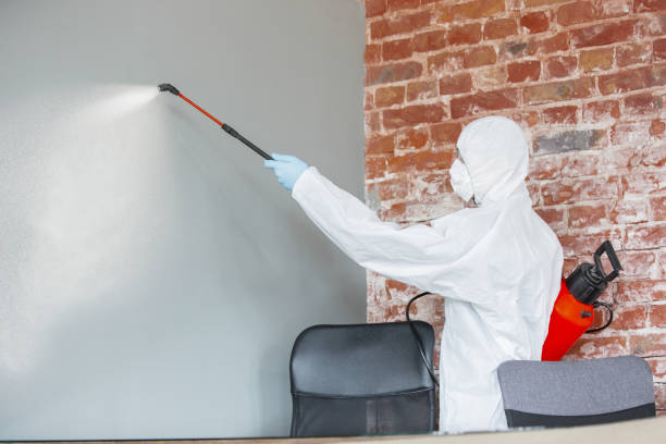 Best Mold Remediation for Rental Properties  in Christmas, FL