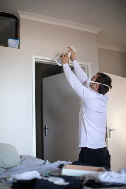 Best Real Estate Mold Inspection  in Christmas, FL