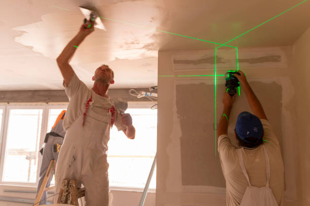 Environmental Consulting for Mold Prevention in Christmas, FL