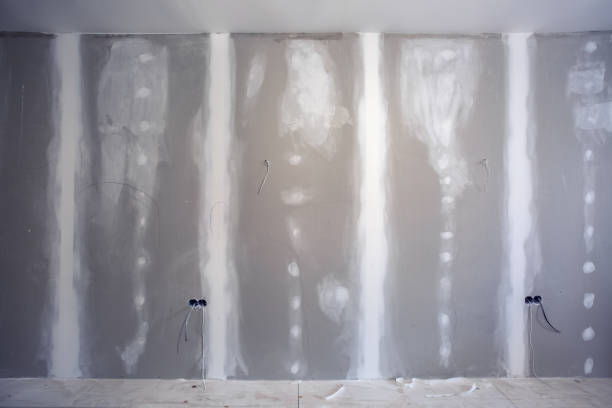 Best Forensic Mold Investigation  in Christmas, FL